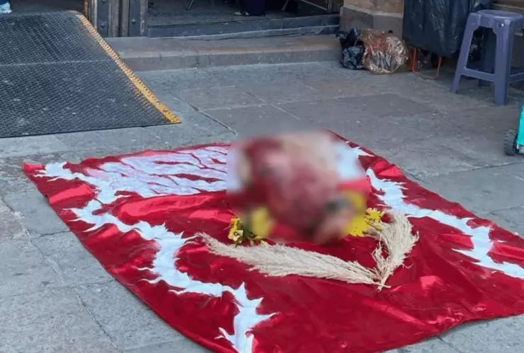 Localizan una cabeza de vaca en la Catedral de San Luis Potosí