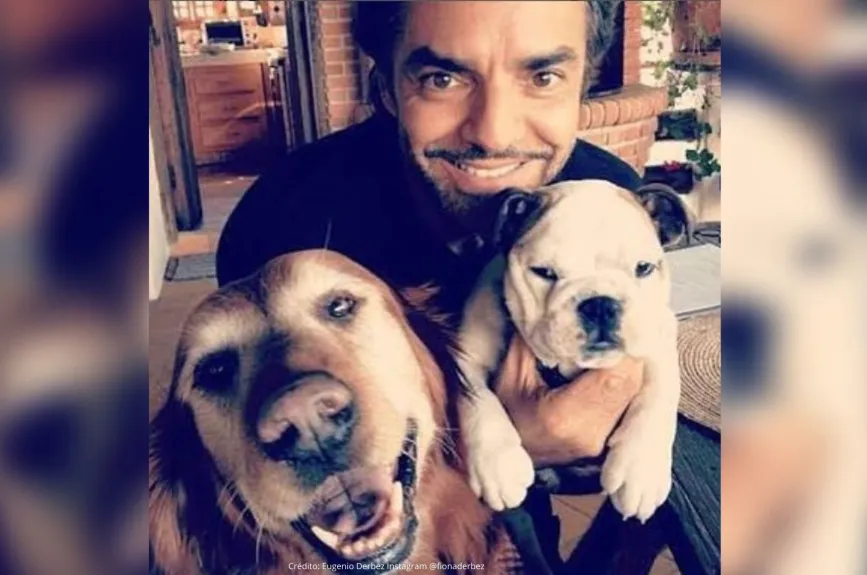 Famosos con un Hachiko en su vida (20).jpg