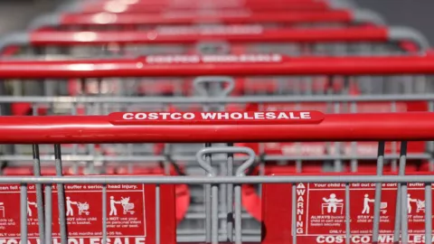 carritos de Costco Wholesale