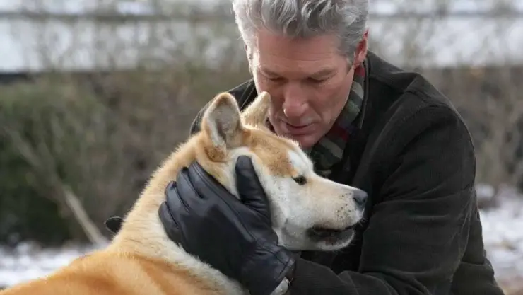 Hachiko.jpg