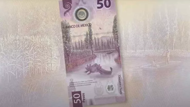 Dan 7,000,000 por este billete de 50 pesos del ajolote