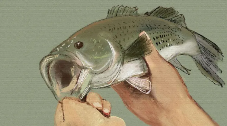 /estilo-de-vida/cual-es-truco-quitar-olor-pescado-refrigerador