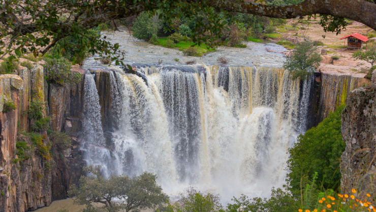 Pueblo Mágico bosque y balneario