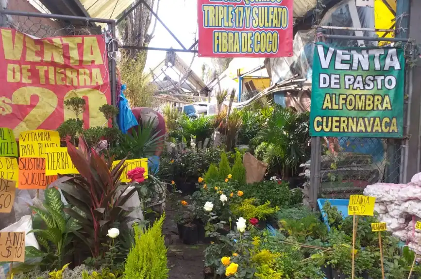 En estos mercados de flores puedes comprar nochebuenas en la CDMX
