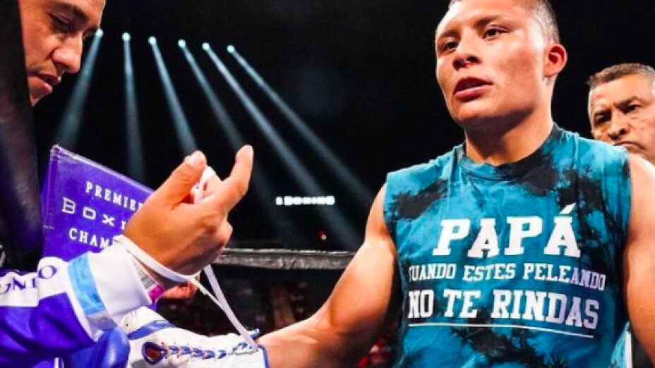 pitbull cruz gervonta davis pelea de box