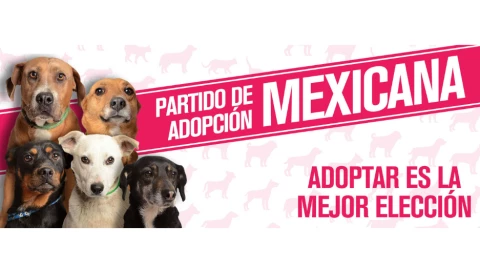 Partido de Adopción Mexicana.png
