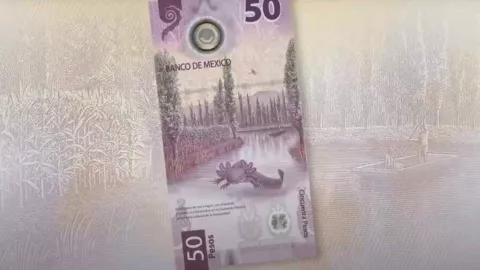 Dan 7,000,000 por este billete de 50 pesos del ajolote