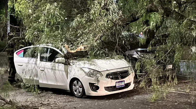 CDMX: Árbol de 10 metro aplasta dos autos que esperaban el siga en Taxqueña