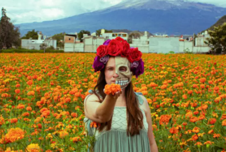 Equinoccio de otoño 2024, fecha de inicio y significado