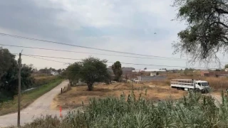 Cuerpos lote baldío Juan Pablo II Irapuato