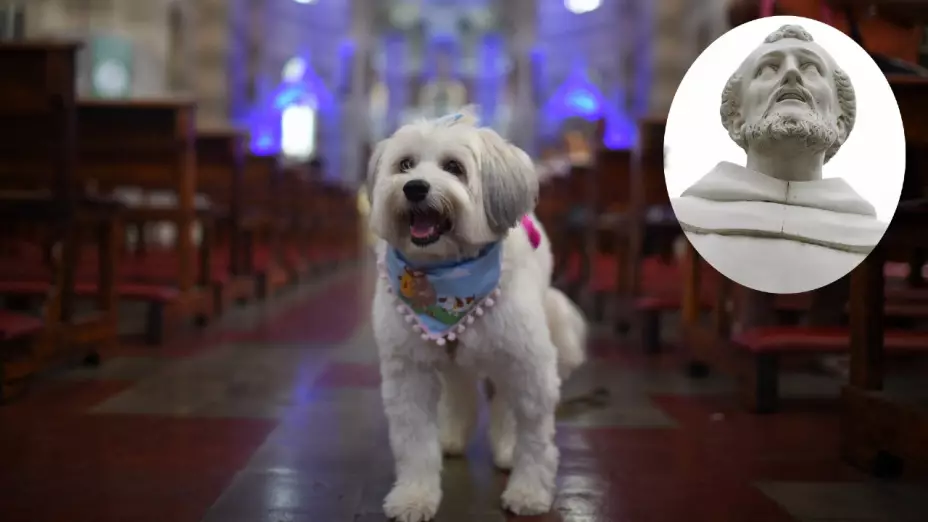 perro_sentado_iglesia_San_Francisco_Asis_bendicion_mascotas_4_octubre