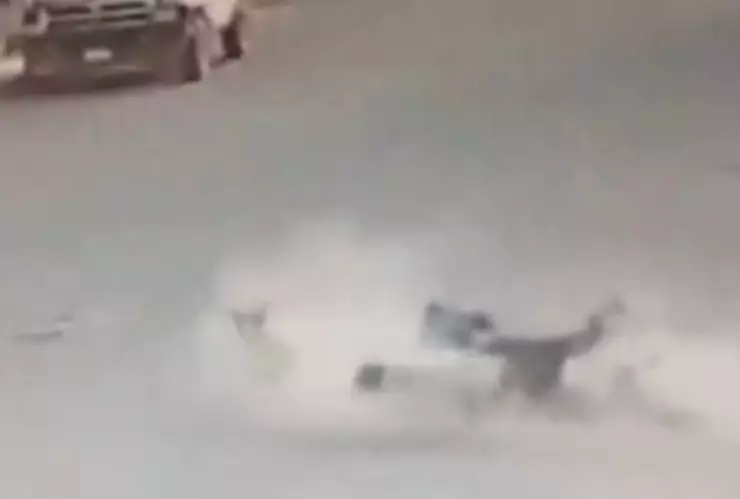 Perros atropellan a dos mujeres