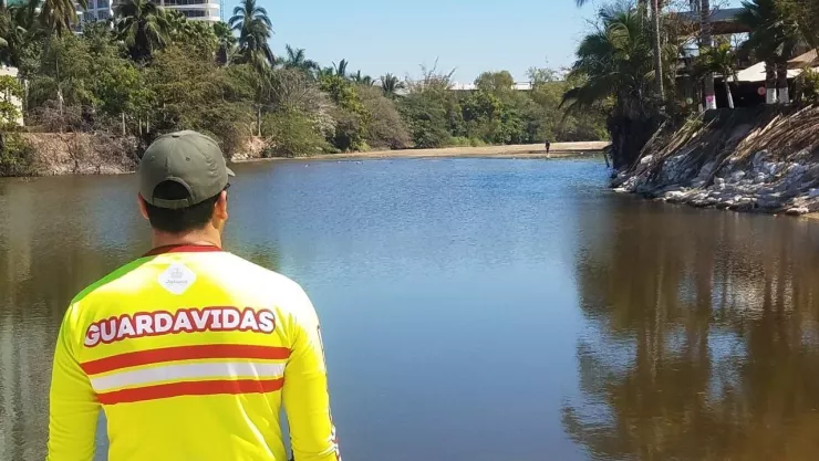 ¡Atención! Monitorean playas de Puerto Vallarta por presencia de cocodrilos