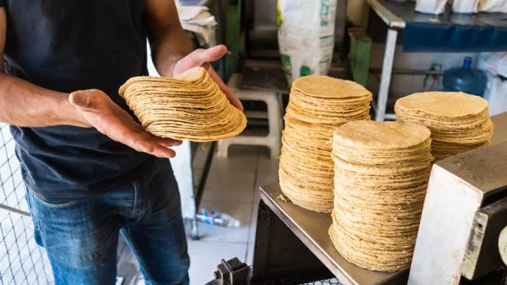 Incrementará el precio de la tortilla