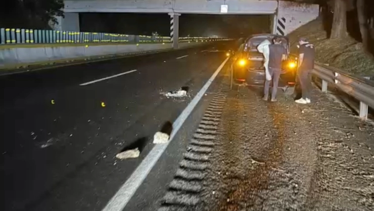 piedras-en-carretera