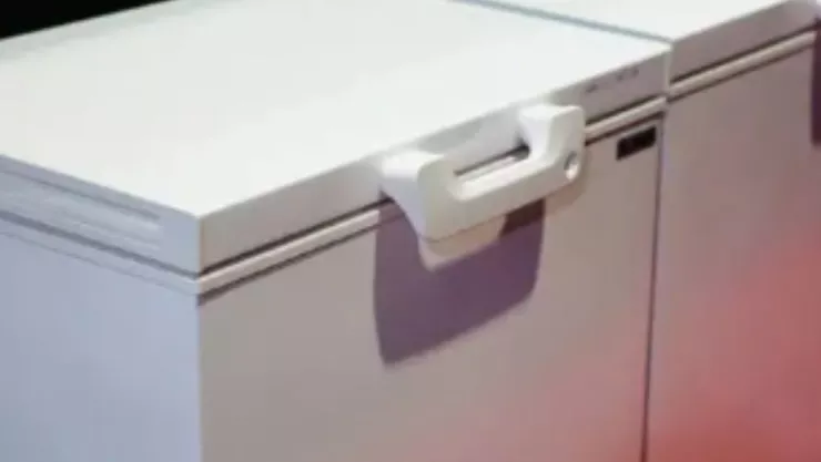 congelador niños colombia