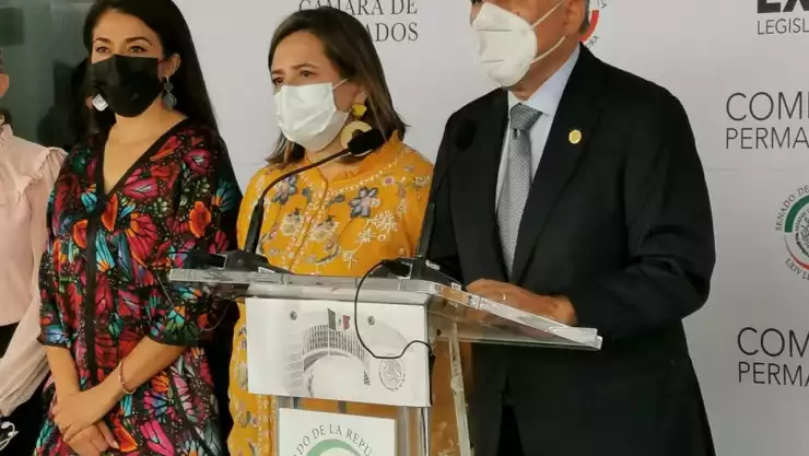 Xóchitl Gálvez.jpeg