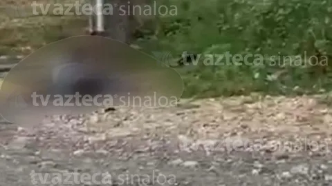 Hombre asesinado en El Walamo (1)