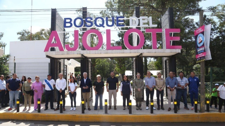 Bosque del Ajolote: &iquest;D&oacute;nde est&aacute; y c&oacute;mo llegar desde la CDMX a este santuario?