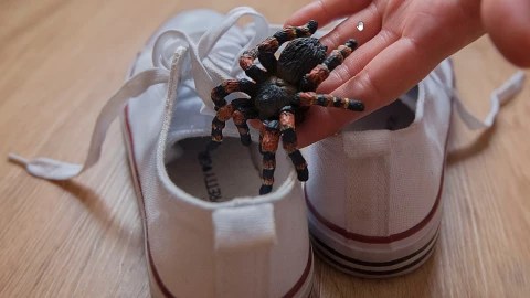 April Fools es el día de 2025 para hacer bromas a tus seres queridos