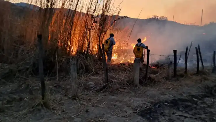 Incendios en Chiapas hoy