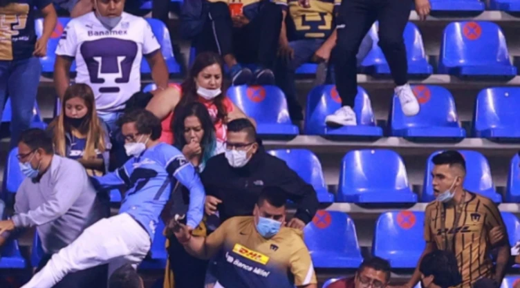 pumas_agresor.jpg
