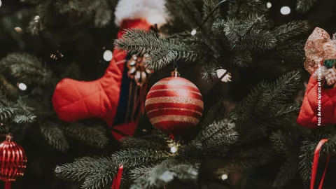 Los adornos que no puede faltar en tu árbol de Navidad