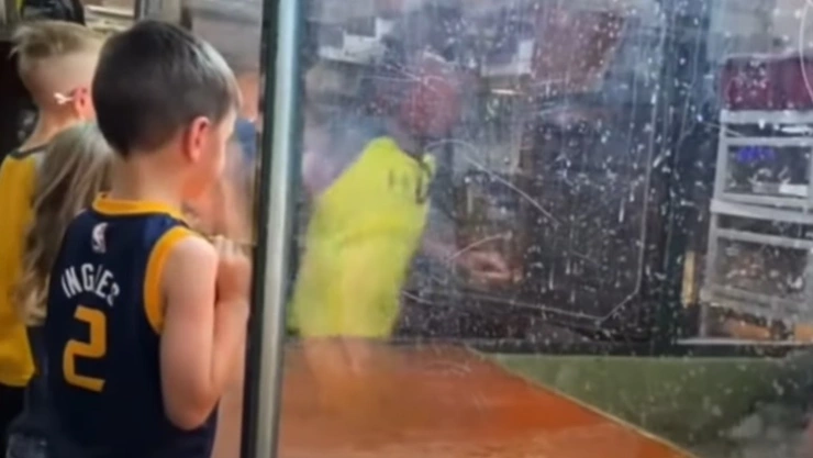 VIDEO: Caimán ataca a su entrenadora (imágenes sensibles)
