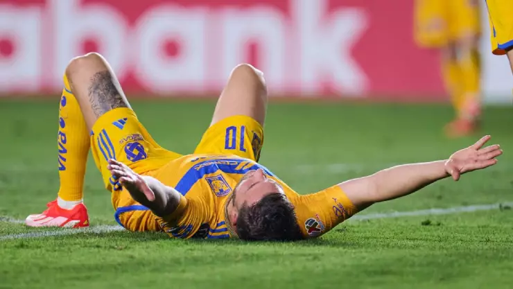Gignac tigres