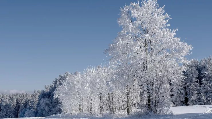 El día que nevó en Mexicali; se registró la primera y última nevada