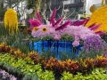 Festival Flores y Jardinería 2022 Polanco