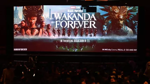 Wakanda Forever Black Panther