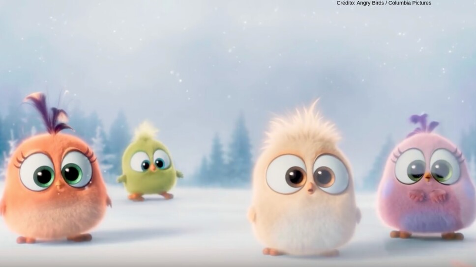 angry birds