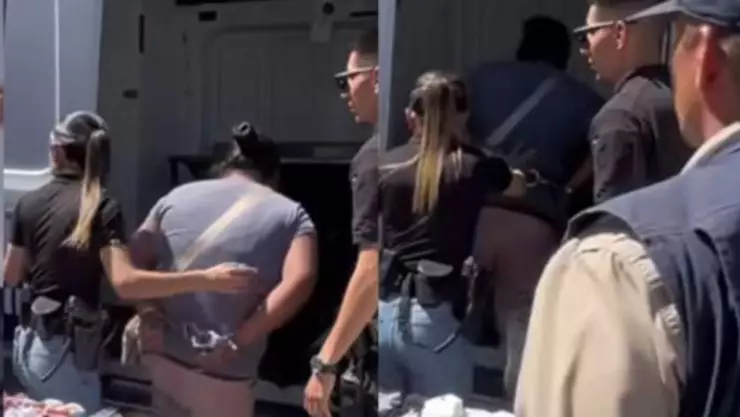 venta de cachorros de raza pug