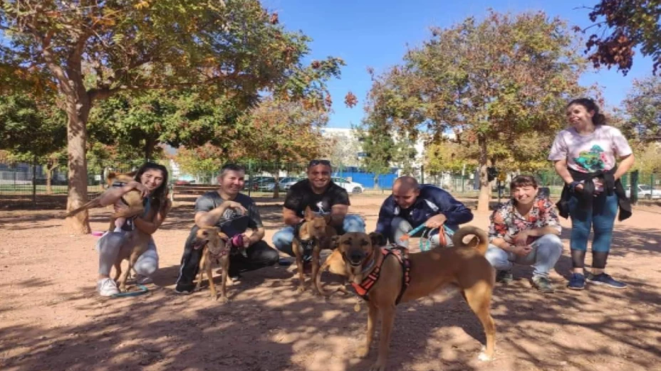 Santuario para perros Cataluña.png