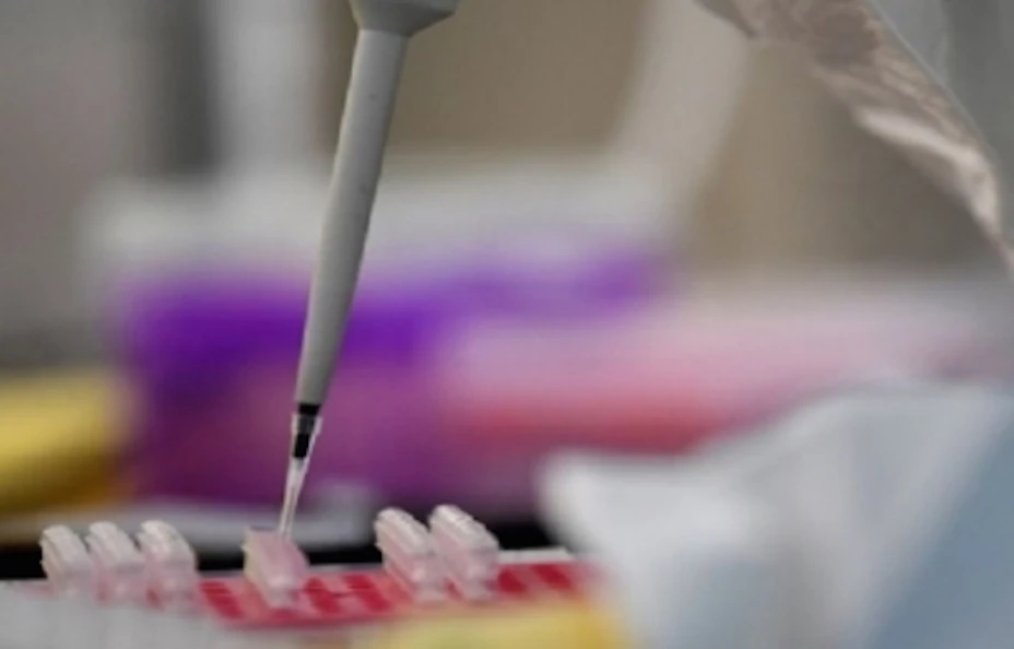 Investigación Covid NTX.jpg