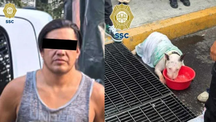 Hombre es detenido en la Cuauhtémoc, CDMX por encerrar a dos perros en una camioneta; uno murió