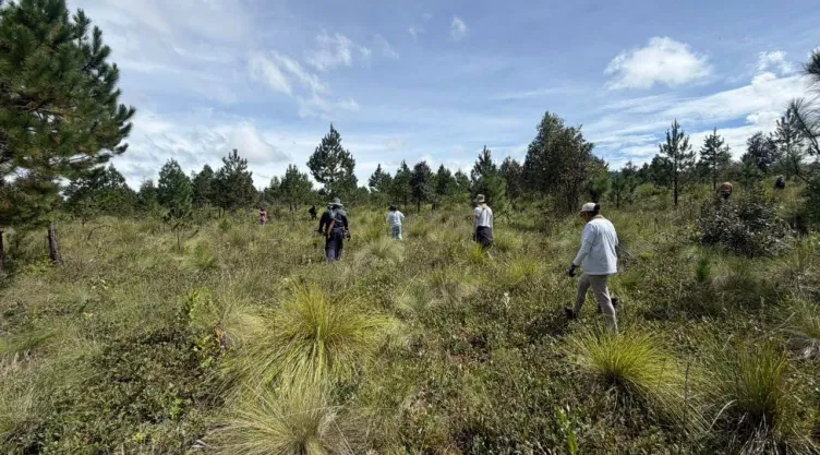 La FGR de Godoy oculta el 95% de las fosas clandestinas en México.