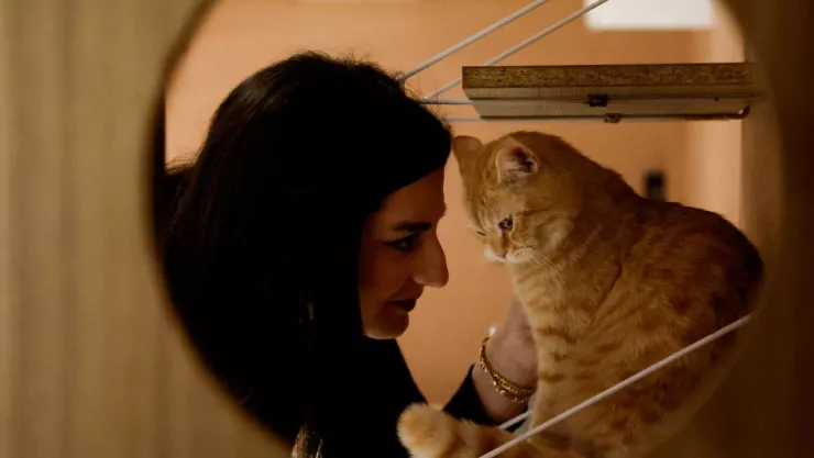 El evento perfecto para los amantes de los gatos en la CDMX, ¡No te pierdas el Miau Fest Edición Primavera 2024!