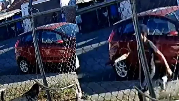 Niño le dispara a perro en Michoacán