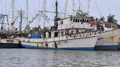 Inicia veda de camarón en Sinaloa