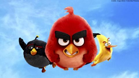 angry birds