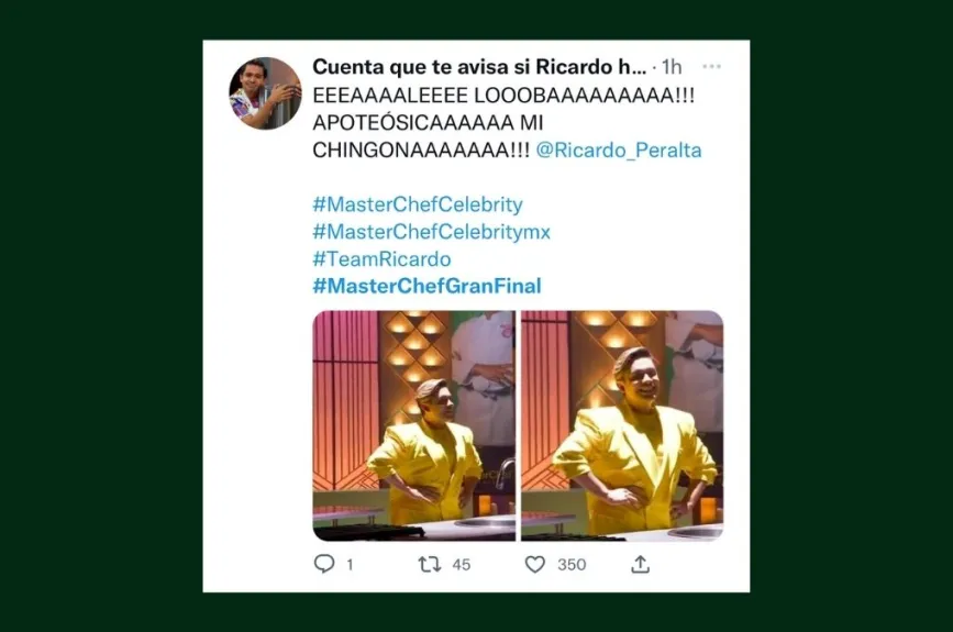 memes masterchef celebrity final (15).jpg