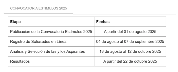 Beca Estímulos Educativos 2025