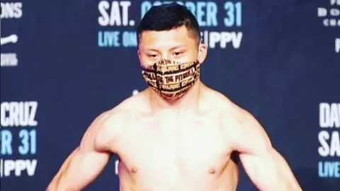 Pitbull Cruz boxeador