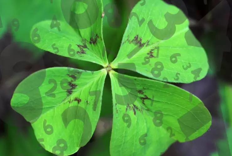 La Numerología revela qué números te traerán suerte este miércoles 10 de diciembre.jpg