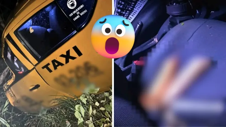 Un peculiar hallazgo dentro de la unidad generó reacciones en redes sociales