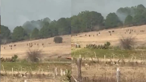 Momento donde abatieron a El Mencho