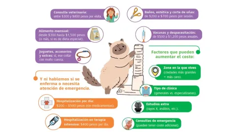 ¿Cuánto cuesta tener un perro o gasto en México en 2025?
