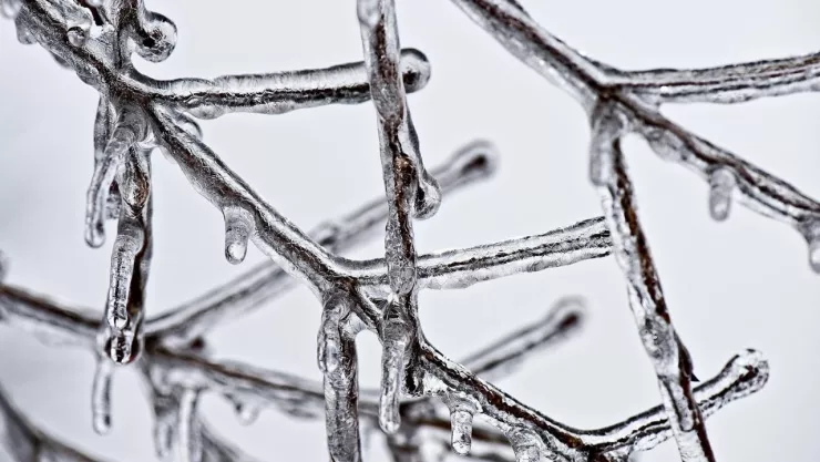 Fusión de dos frentes fríos bajarán las temperaturas: Así afectará a Jalisco